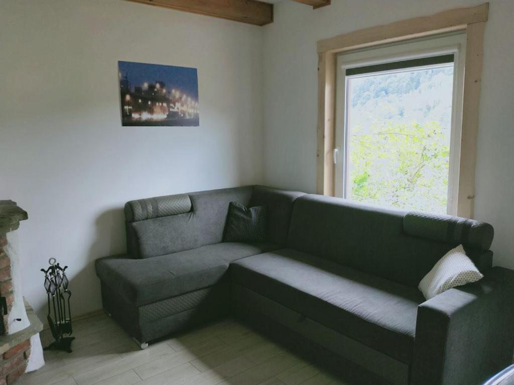 Bieszczadowy Domek Bystre  Kültér fotó